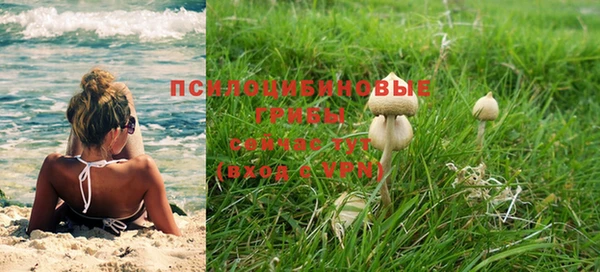 PSILOCYBIN Белоозёрский