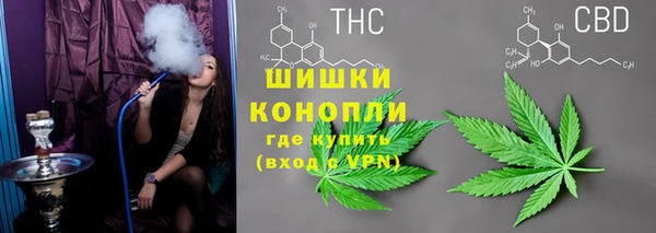 PSILOCYBIN Белоозёрский